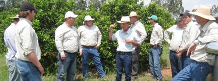 Corpo técnico do Fundecitrus faz visita a pomares com cancro do Paraná