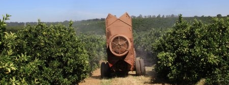 Defensivos seletivos colaboram com manejo sustentável dos pomares