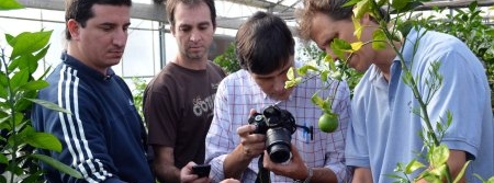 Professores de universidade do Paraguai visitam Fundecitrus para conhecer pesquisas sobre greening (HLB)