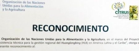 Fundecitrus recebe homenagem da FAO pela contribuição para o controle do HLB