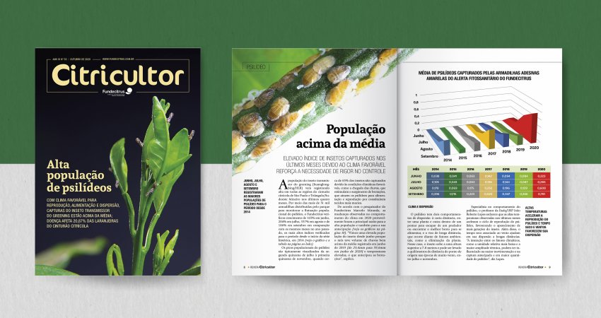 Nova edição da revista Citricultor destaca população de psilídeos acima da média