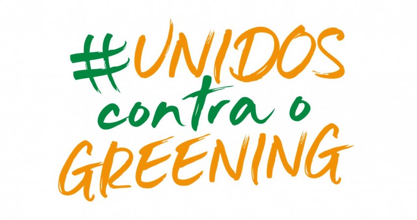 Grupo Junqueira Rodas faz campanha sobre o greening nas redes sociais